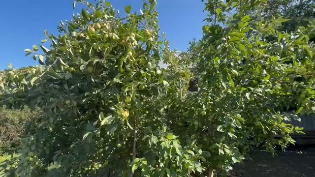 1000046468.mp4 смотреть онлайн