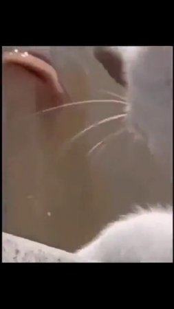 Слышь, не мешай