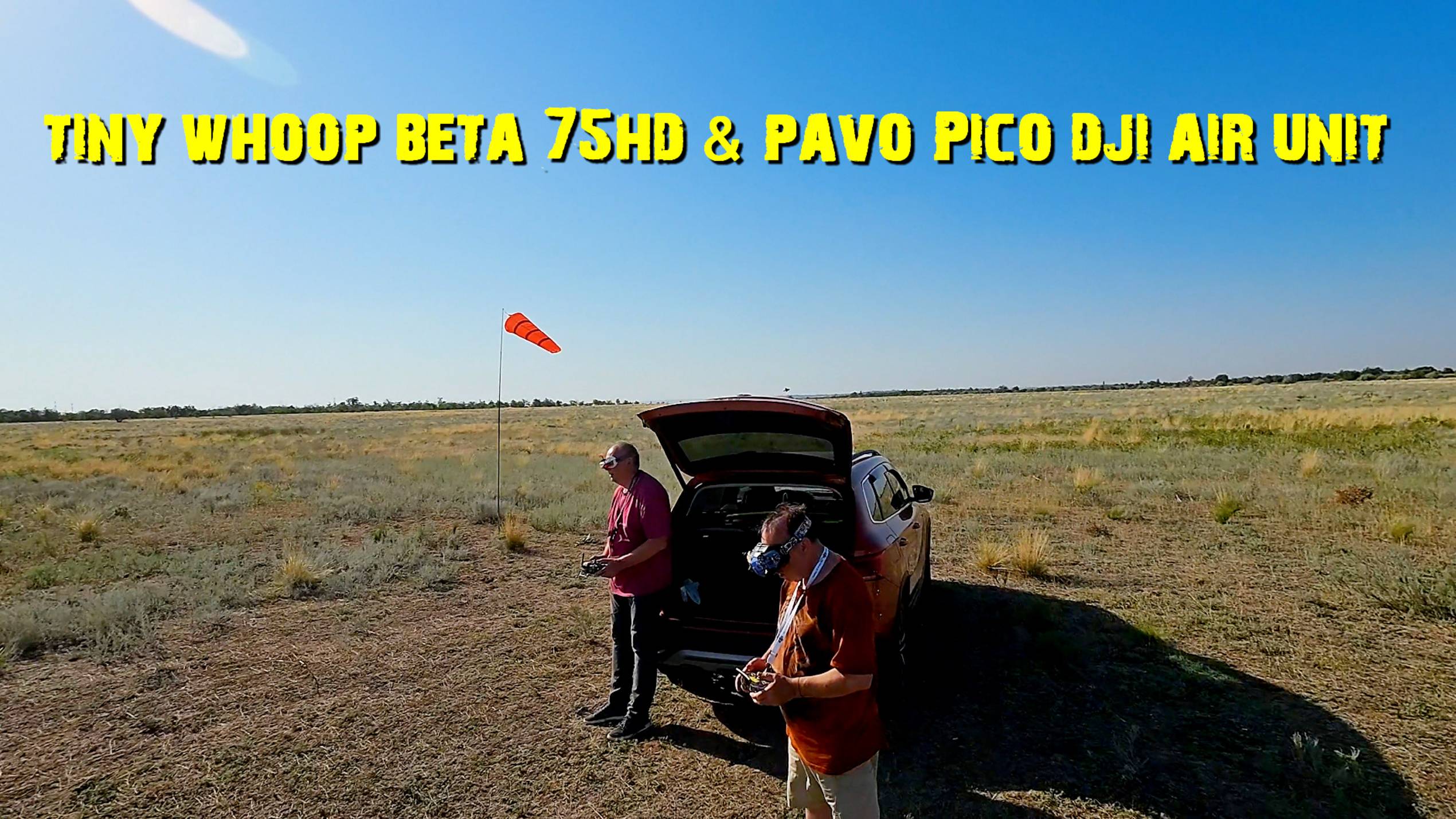 Pavo Pico  Beta 75HD
