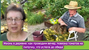 Жизнь в деревне: как проводим вечер, подвязка томатов на липучку, что успела до обеда, где муж