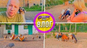 Уютные тёплые вечера в глухой Крымской деревне. Семья живет на глухом хуторе в Крыму Жизнь в деревне