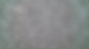 Чайная церемония