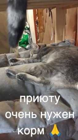 +7985 193 0027 сбер элплат
