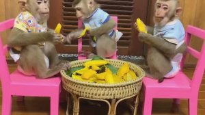 Обезьянки фрукты едят и МАЛЫШКИ ВЕСЕЛЯТ