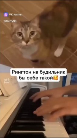 Петь будем или нет?