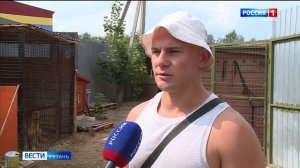 В Рязани открыты пункты сбора вещей для животных