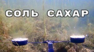 Реакция рыбы на Соль и Сахар! Подводная съемка