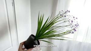 Искусственные цветы в горшке ОЧАРОВАНИЕ ФЛОРЫ, сиреневые, 50 см, 5010061