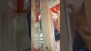 1000029393.mp4 (Собака наблюдает за планированием крепления имитации бруса, каркаса в доме А-фрейм)