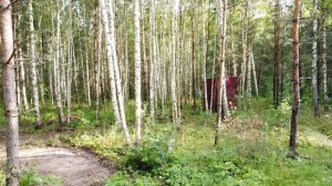 обзор моего участка ИЖС с птичьего полета
