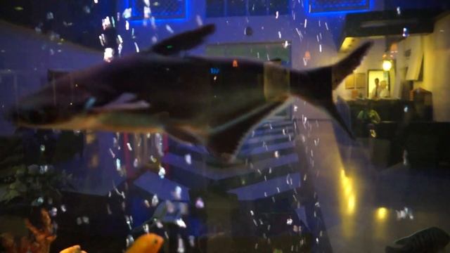 Турция. Бельдиби. Отель Катамаран. смотреть онлайн