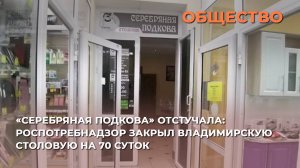 «Серебряная подкова» отстучала: Роспотребнадзор закрыл владимирскую столовую на 70 суток