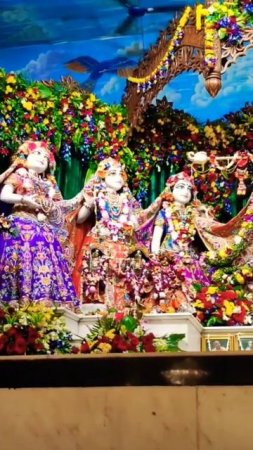 Kirtan and Radha Madhava darshan in Mayapur Dham #kirtan #shorts