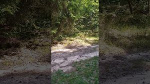 Хоррорная вылазка с неудачным концом.