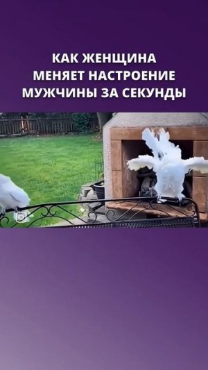 Как женщина меняет настроение мужчины
