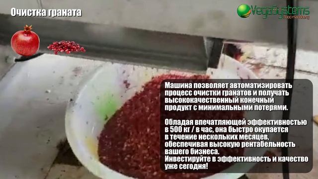 Машина для очистки граната Vega Removing pomegranate Seeds H500 I Очист смотреть онлайн