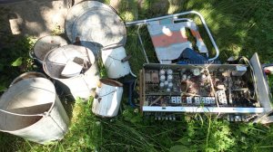 Что можно найти на Дачной свалке