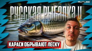 Русская Рыбалка 4 | Караси обрывают леску | Комариное