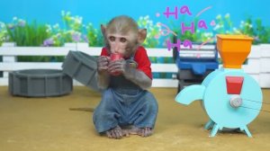ОБЕЗЬЯНКА ЕДЕТ НА ТРАКТОРЕ ЗА ЛИМОНАДОМ