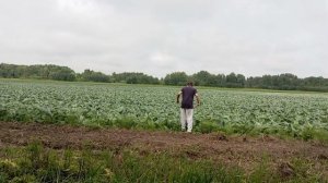Увлечения подростка, часть 2.