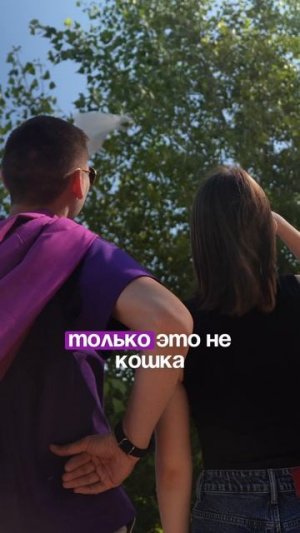 RAF Оптика