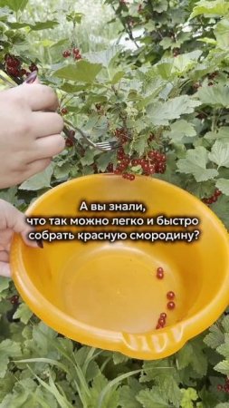 Хочешь получить товары нашего бренда бесплатно? Читай в описании