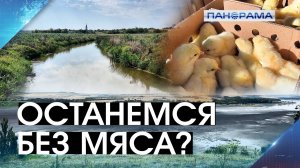 Засуха угрожает продовольственной безопасности ДНР! Птицефабрике в Розовке не хватает воды