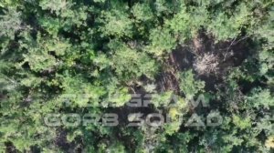 Видео не моё, тгк. Gorb SQUAD