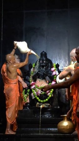 Narasimha Maha Abhishek 22,5,2024 #mayapur #deities #narasimhadev #abhishek #shorts