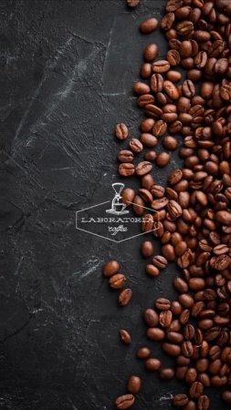 Лаборатория кофе | натуральный кофе 
Артикул кофе☕️ ozon: 1403532988 | wb: 186953525