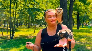 Рспаковка че-е-е-е-е-к🔥Прогулка по парку👍Куча-а-а-а-а-а-а-а, приве-е-е-е-е--т👋Сова и обезъянка🥰