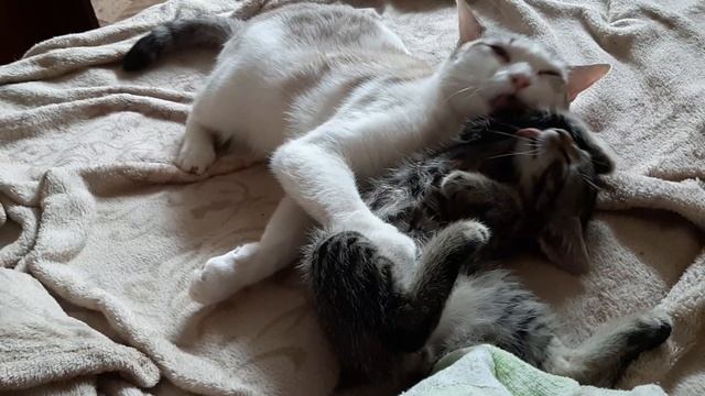 Читота - залог здоровья