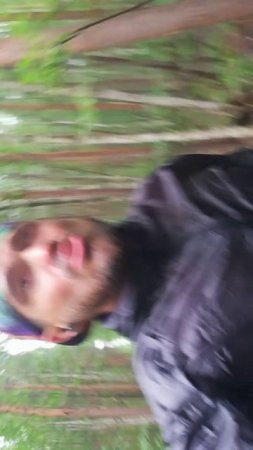Бег