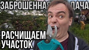 Расчистка Заброшенной Дачи: Тонны Мусора, Деревья-Убийцы и Оса!