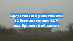 Средства ПВО уничтожили 12 беспилотников ВСУ над Брянской областью