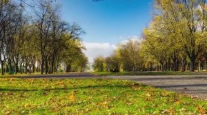 УСПОКАИВАЮЩАЯ МУЗЫКА ДЛЯ СНА, ОЧЕНЬ КРАСИВАЯ РАССЛАБЛЯЮЩАЯ МУЗЫКА