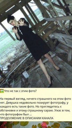8_-Что не так с этим фото_h
