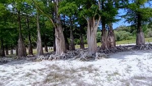 Кипарисовое озеро Сукко 19 июля 2025. Репортаж Светланы Тихоновы.