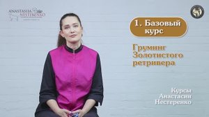 видео о курсе Анастасии Нестеренко (базовый курс)