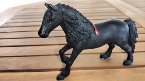 Ответы на вопросы от канала Мир лошадей