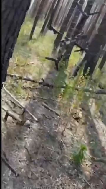     FPV- 