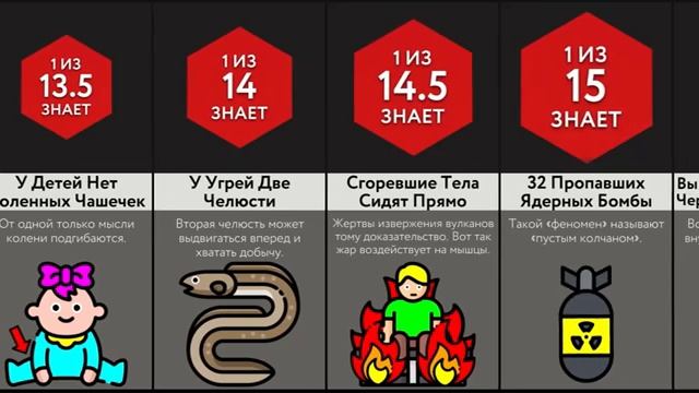 Ты Не Знал Эти Жуткие Факты!