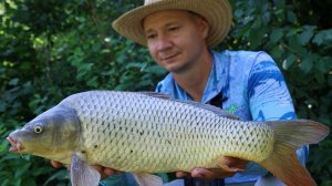 Рыбалка летом 2025 на сазана с кормушкой флэт фидер