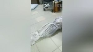 Уголовное дело возбудили после проверки пансионата в Уфе, где издевались над пожилыми людьми