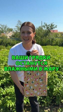 Ваши грядки останутся влажными в жару