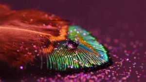 Притча Прошлые жизни, нынешние страхи