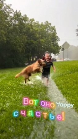 2025-07-19