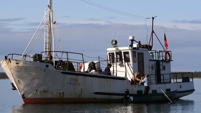 Аудиокнига Сергей Косыгин рассказы из сборника "Ветер странствий" Читает Марина Багинская смотреть онлайн