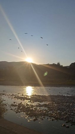 🚿🌊🔥  
14,4°C в скважине — идеально для пробуждения! Тело кричит "Спасибо!"