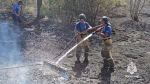 В Крыму тушат пожар на 40 гектарах